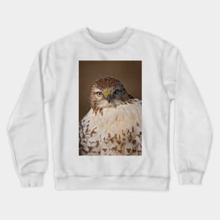 Red-Tailed Hawk Crewneck Sweatshirt